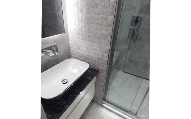 Stylish Counter-top Basin with Modern Shower Enclosure