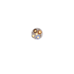 TSFXFC4C1