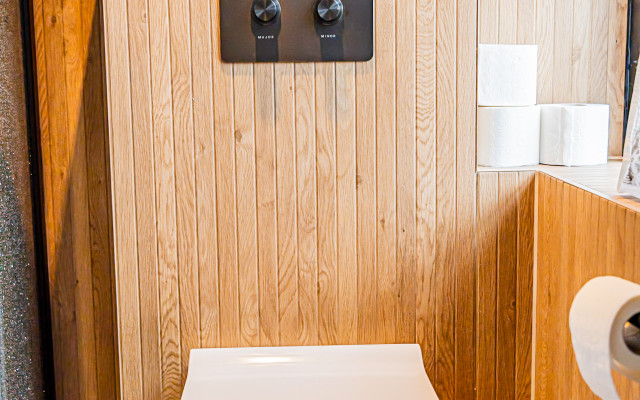 Modern back-to-wall toilet with wood interior finish