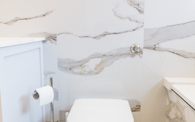 Discover the elegance of the luxury back-to-wall toilet, a perfect blend of style and functionality for modern bathrooms.