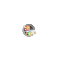 TSFXISP2LSFGRY