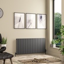 Addington II Radiator 600 x 1262 Type10 - Matt Anthracite Extra Image