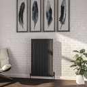 Addington 1000 x 588mm Radiator Type10 - Matt Anthracite Extra Image