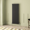 Imperia 2 Column Radiator 1800 x 650mm - Matt Anthracite-1