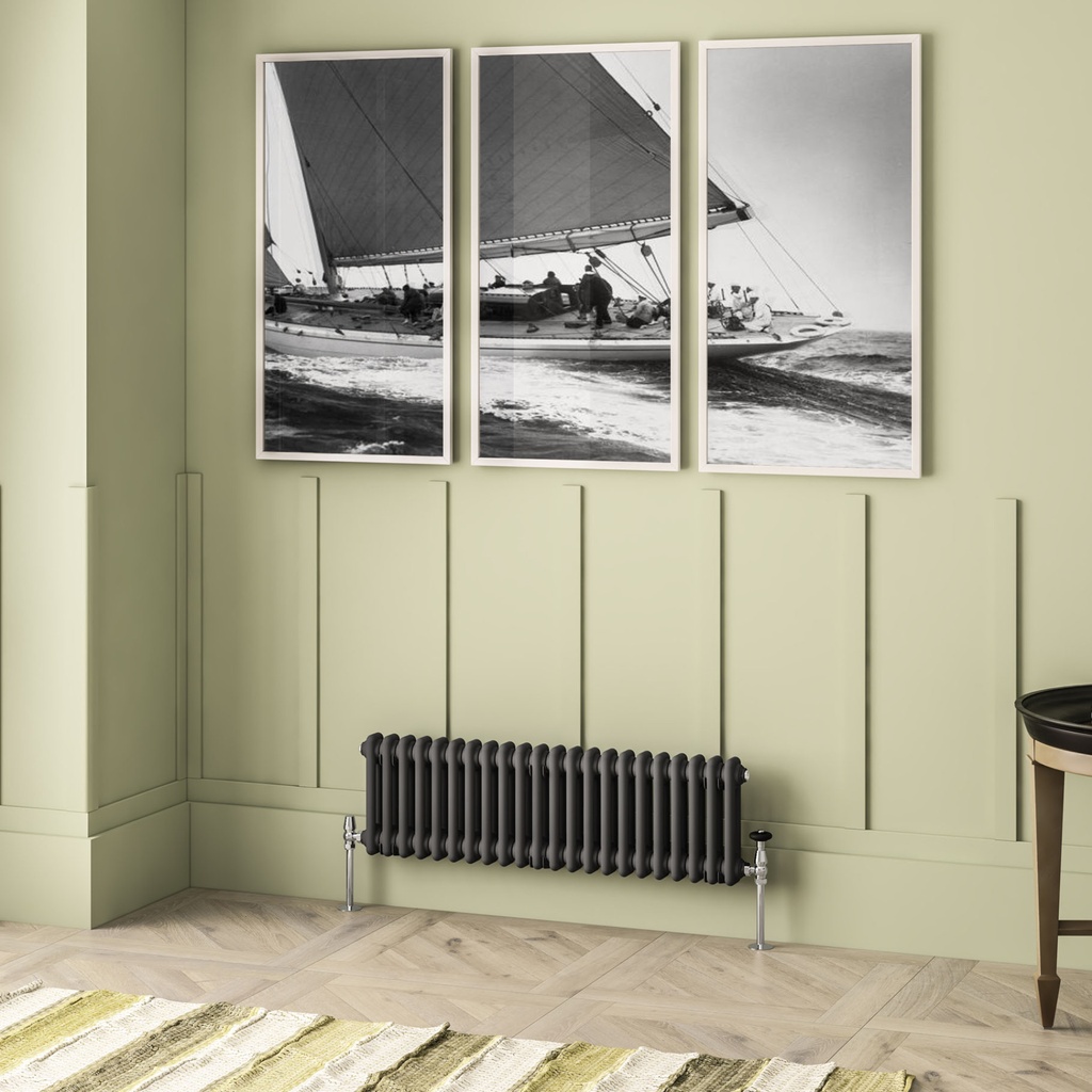 Imperia 2 Column Radiator 300 x 1010mm - Matt Anthracite-1