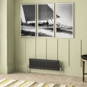 Imperia 2 Column Radiator 300 x 1010mm - Matt Anthracite-1