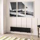 Imperia 2 Column Radiator 300 x 1460mm - Matt Black-1