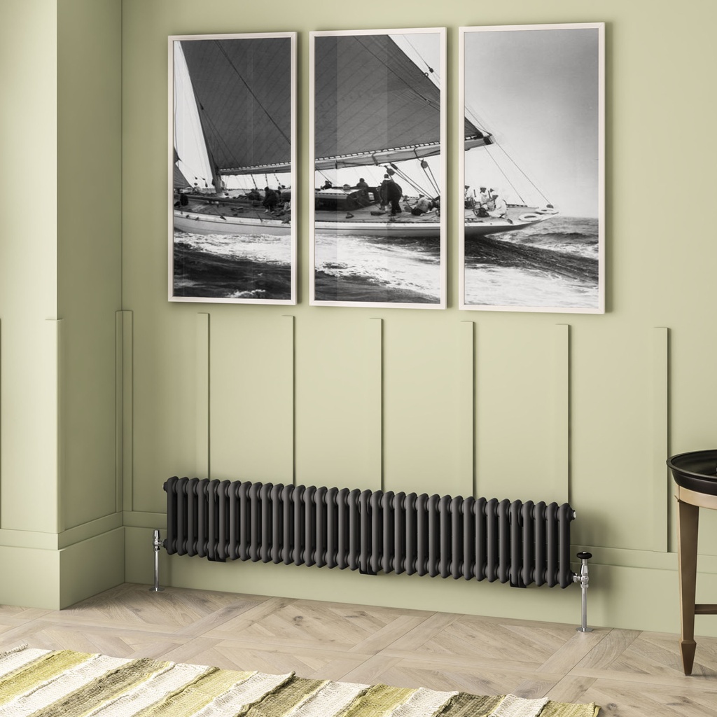 Imperia 2 Column Radiator 300 x 1640mm - Matt Anthracite-1