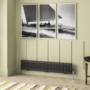 Imperia 2 Column Radiator 300 x 1640mm - Matt Anthracite-1
