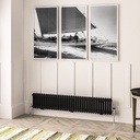 Imperia 2 Column Radiator 300 x 1640mm - Matt Black-1