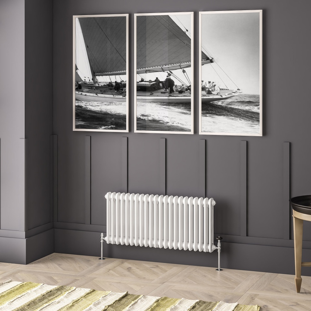 Imperia 2 Column Radiator 450 x 1010mm - Gloss White-1