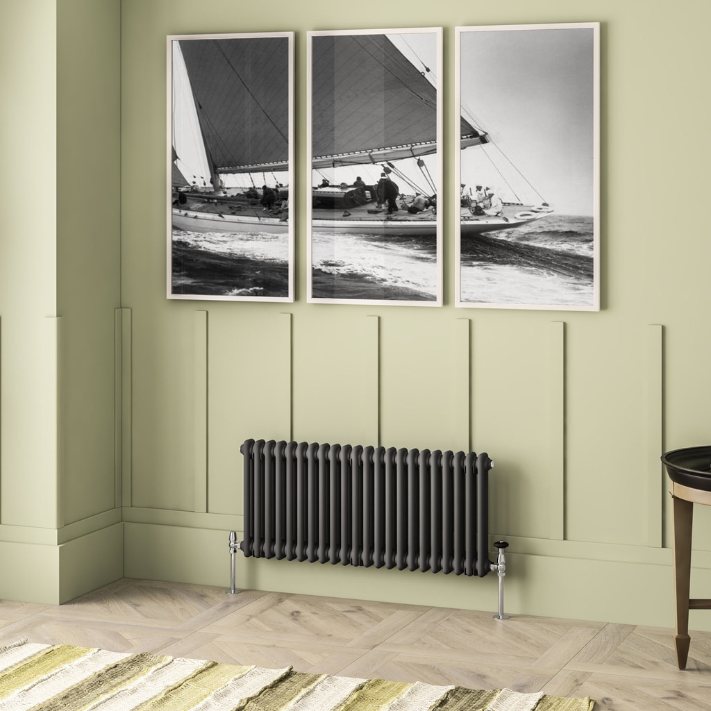 Imperia 2 Column Radiator 450 x 1010mm - Matt Anthracite-1