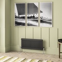 Imperia 2 Column Radiator 450 x 1010mm - Matt Anthracite-1