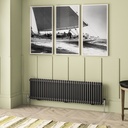 Imperia 2 Column Radiator 450 x 1460mm - Matt Anthracite-1