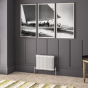 Imperia 2 Column Radiator 450 x 605mm - Gloss White-1