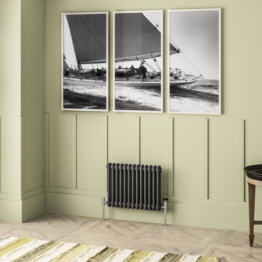 Imperia 2 Column Radiator 450 x 605mm - Matt Anthracite-1