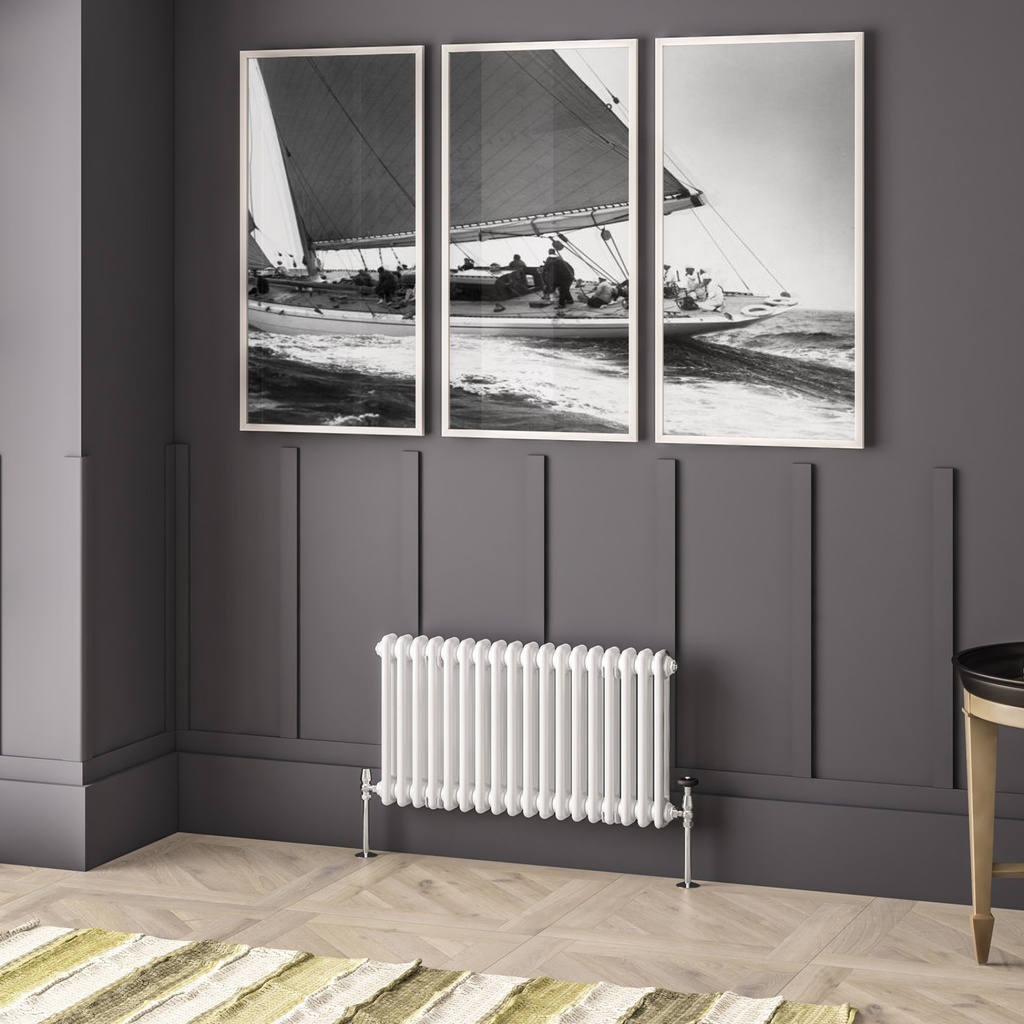 Imperia 2 Column Radiator 450 x 830mm - Gloss White-1