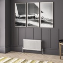 Imperia 2 Column Radiator 450 x 830mm - Gloss White-1