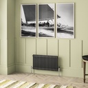 Imperia 2 Column Radiator 450 x 830mm - Matt Anthracite-1