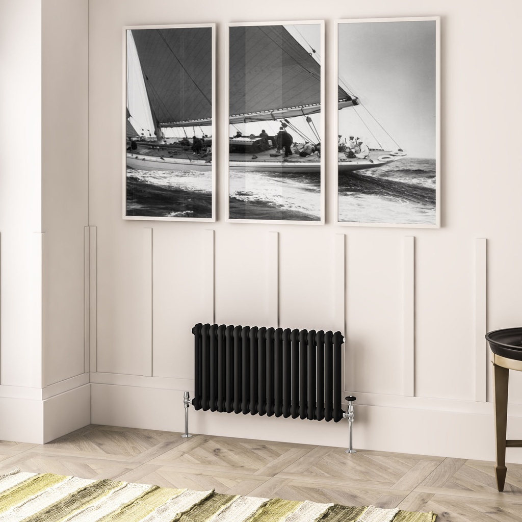 Imperia 2 Column Radiator 450 x 830mm - Matt Black-1