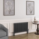 Imperia 2 Column Radiator 600 x 1010mm - Matt Anthracite-1