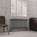 Imperia 2 Column Radiator 600 x 1145mm - Bare Metal-1