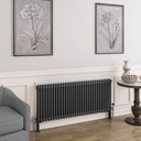 Imperia 2 Column Radiator 600 x 1460mm - Matt Anthracite-1