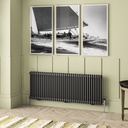 Imperia 2 Column Radiator 600 x 1640mm - Matt Anthracite-1