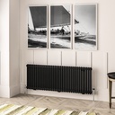 Imperia 2 Column Radiator 600 x 1640mm - Matt Black-1