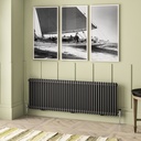 Imperia 2 Column Radiator 600 x 1820mm - Matt Anthracite-1