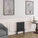 Imperia 2 Column Radiator 600 x 560mm - Matt Anthracite-1
