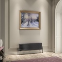 Imperia 3 Column Radiator 300 x 1010mm - Matt Anthracite-1