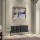 Imperia 3 Column Radiator 450 x 1145mm - Matt Anthracite-1