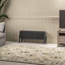 Imperia 6 Column Radiator 300 x 1010mm - Matt Anthracite-1