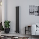 Rivassa 2 Column Rad. 1800 x 293mm - Matt Anthracite-1