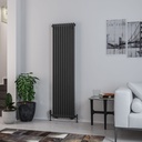 Rivassa 2 Column Rad. 1800 x 473mm - Matt Anthracite-1
