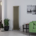 Rivassa 2 Column Radiator 1800 x 473mm - Bronze Effect-1
