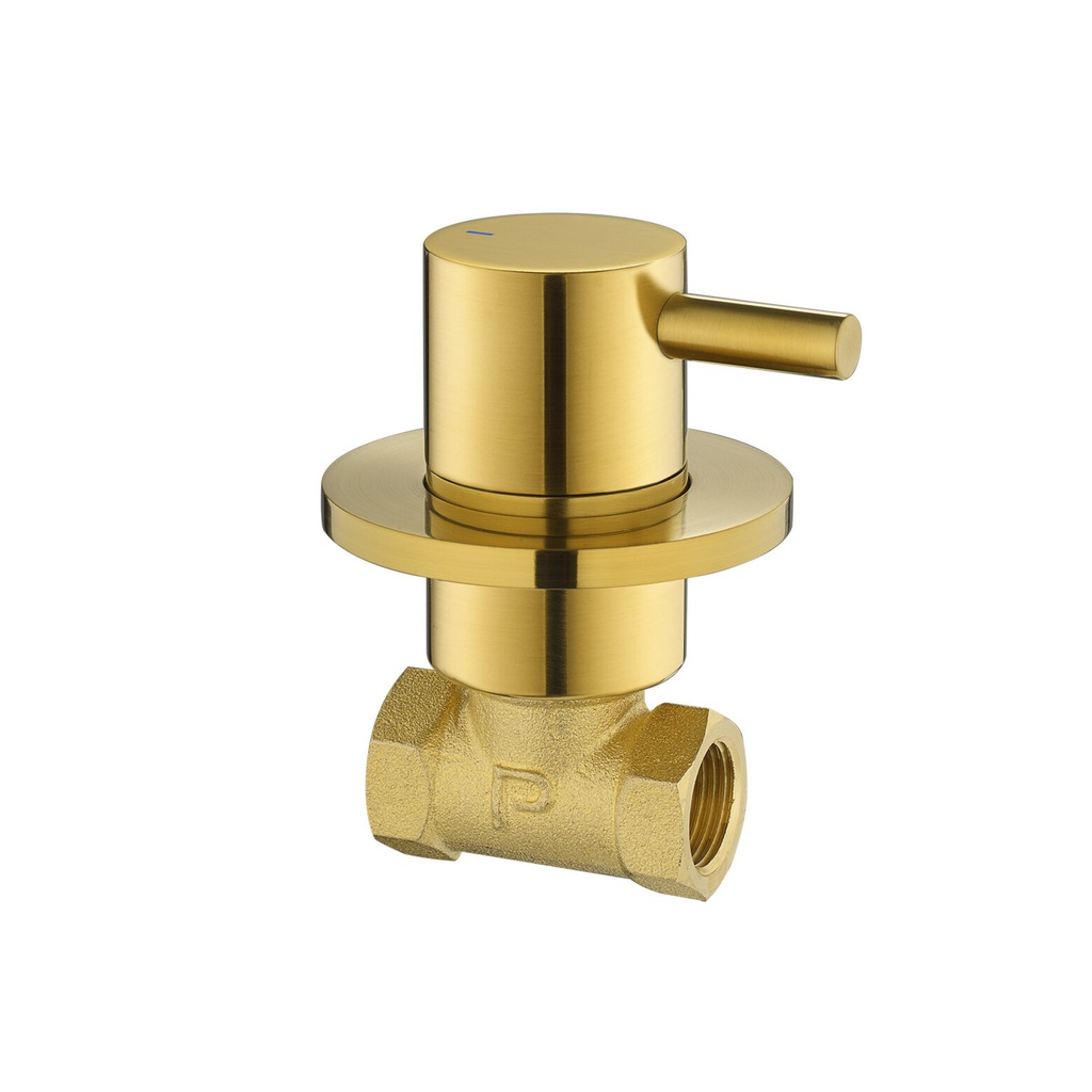 Levo Cold Wall Mounted Shut Off Valve - Brushed Gold