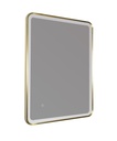 JTP HIX 680 MIRROR + LIGHT BRUSHED BRASSR