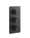 JTP HIX TH concealed 2 outlet SH valve VERT M