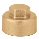 Altecnic 3/4 inch Female End Cap for Distribution Manifolds