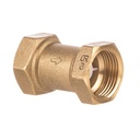 Altecnic 1inch Female X 1 inch Female Single Check Valve