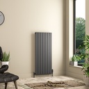 Addington II Radiator 1200 x 522 Type10 - Matt Anthracite