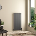 Addington II Radiator 1200 x 596 Type10 - Matt Anthracite