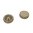 Bleed Valve & Blanking Plug Set - Brushed Brass