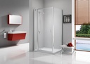 Ionic Express Pivot Door & Inline Panel - 780-840
