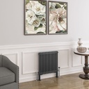 Imperia 2 Column Radiator 600 x 605mm - Matt Anthracite