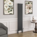 Imperia 2 Column Radiator 1800 x 380mm - Matt Anthracite