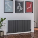 Peretti 600 x 1230mm Aluminium Radiator - Matt Anthracite