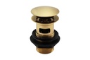 Kartell K-VIT Basin Clicker Waste (Slotted) - Brushed Brass